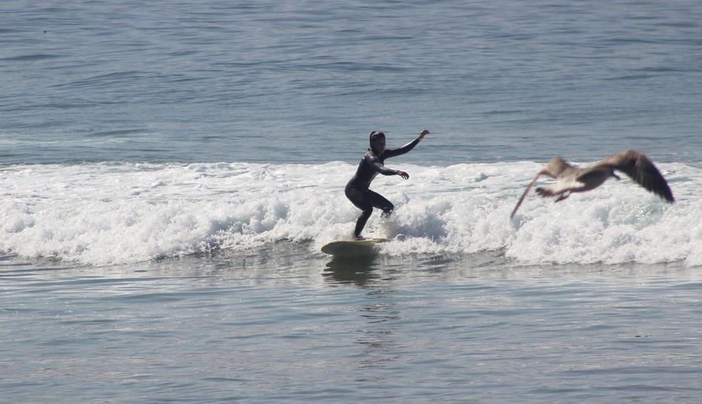 Hotel Aloha Surf Camp Maroc Tamraght Exterior foto